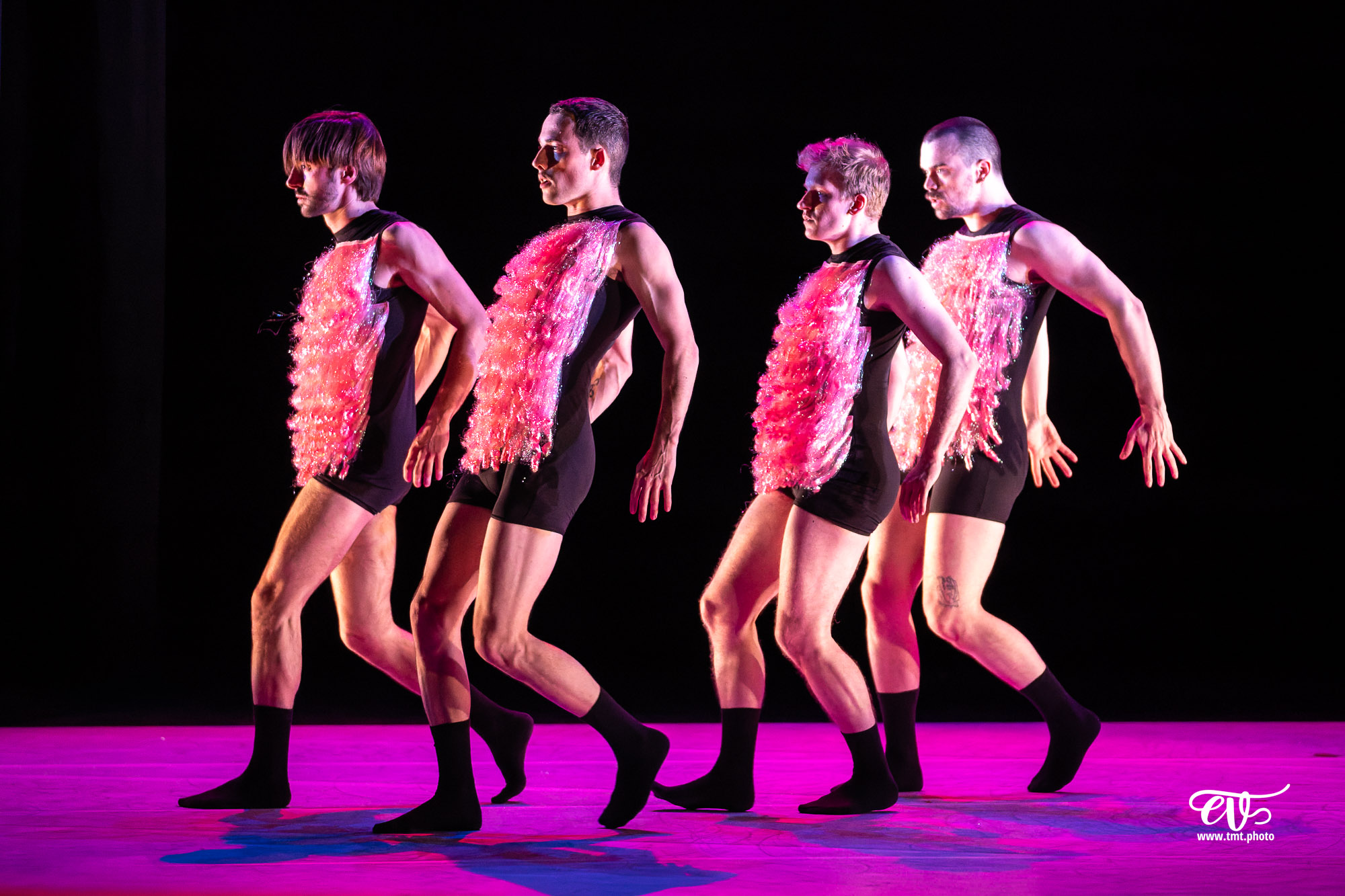 A4 (COMME LA FEUILLE) CIE CHICOS MAMBO